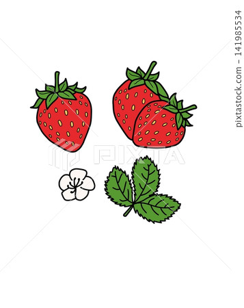 A minimalist vector illustration set of fresh red strawberries, a white strawberry flower blossom, and green serrated leaves isolated on a white background. Perfect for fruit packaging, dessert menus, A minimalist vector illustration set of fresh red strawberries, a white strawberry flower blossom, and green serrated leaves isolated on a white background. Perfect for fruit packaging, dessert menus, 141985534