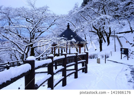 【神奈川縣】涼亭和雪櫻 【神奈川縣】涼亭和雪櫻 141986176