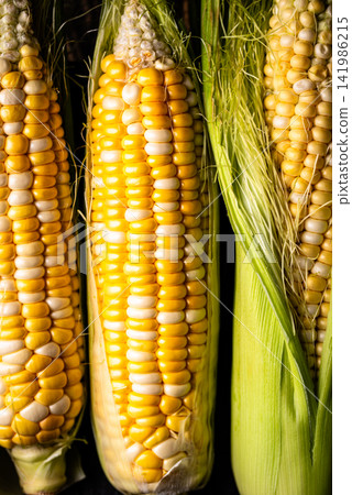 Raw uncooked fresh corn. Healthy food Raw uncooked fresh corn. Healthy food 141986215