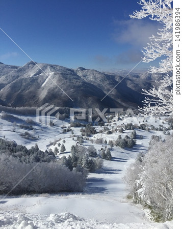 日本一處隱密的滑雪勝地 日本一處隱密的滑雪勝地 141986394