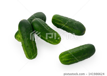 Group of Fresh Small Cucumbers Group of Fresh Small Cucumbers 141986624