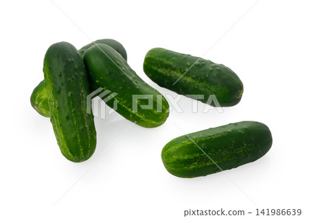 Group of Fresh Small Cucumbers Group of Fresh Small Cucumbers 141986639