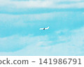 Pale sky and airplane 141986791