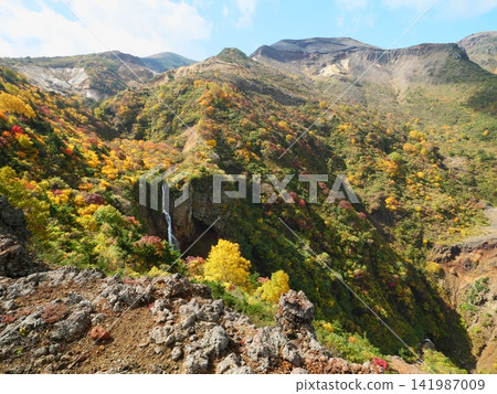 Zao in autumn (Komakusadaira) [Zao Town, Katta District, Miyagi Prefecture] 141987009