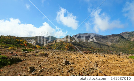 Zao in autumn (Komakusadaira) [Zao Town, Katta District, Miyagi Prefecture] 141987010