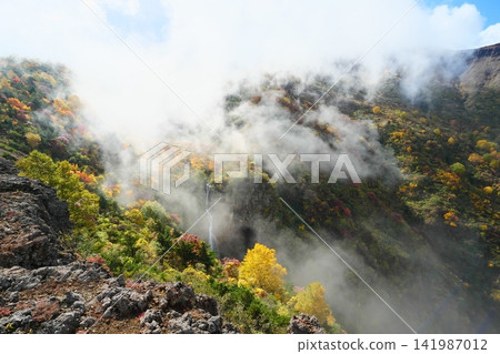 Zao in autumn (Komakusadaira) [Zao Town, Katta District, Miyagi Prefecture] 141987012