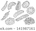 一組10幅用墨水筆觸繪製的蛋彩畫插圖。 141987161