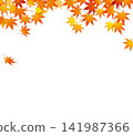 Autumn imagery: 15 autumn leaves 141987366