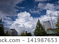 Summer sky and clouds Summer sky and clouds 141987653