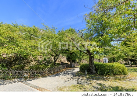 Summer at Hamamatsu Castle Park Summer at Hamamatsu Castle Park 141987663