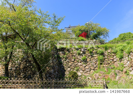 Summer at Hamamatsu Castle Park Summer at Hamamatsu Castle Park 141987668