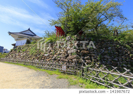 Summer at Hamamatsu Castle Park Summer at Hamamatsu Castle Park 141987672