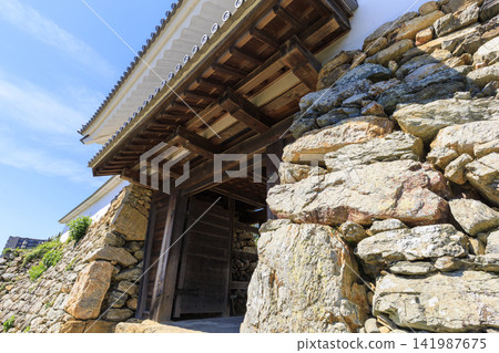 Summer at Hamamatsu Castle Park Summer at Hamamatsu Castle Park 141987675