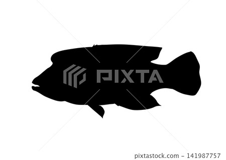 白色背景上的隆頭瀨魚剪影插圖 白色背景上的隆頭瀨魚剪影插圖 141987757