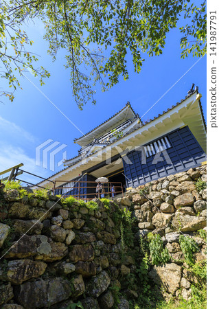 Summer at Hamamatsu Castle Park Summer at Hamamatsu Castle Park 141987791