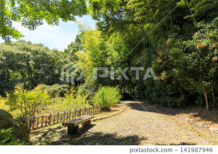 Summer at Hamamatsu Castle Ruins Park (Japanese Garden) Summer at Hamamatsu Castle Ruins Park (Japanese Garden) 141987946