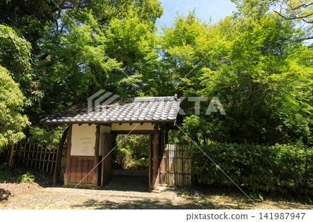 Summer at Hamamatsu Castle Ruins Park (Japanese Garden) Summer at Hamamatsu Castle Ruins Park (Japanese Garden) 141987947