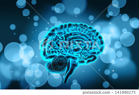 Cross section of brain on abstract background Cross section of brain on abstract background 141990275