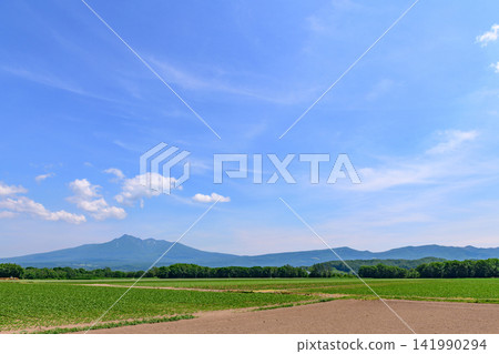 北海道東部的清裡:一條公路、馬鈴薯田和舍利山。 北海道東部的清裡:一條公路、馬鈴薯田和舍利山。 141990294