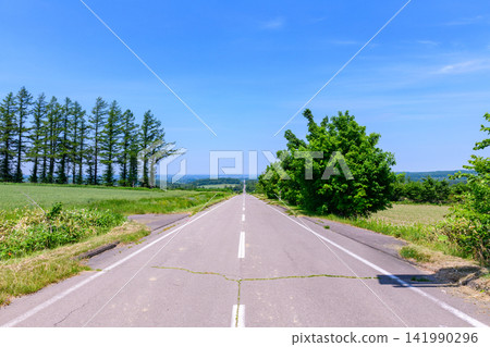 北海道東部的清裡:一條公路、馬鈴薯田和舍利山。 北海道東部的清裡:一條公路、馬鈴薯田和舍利山。 141990296