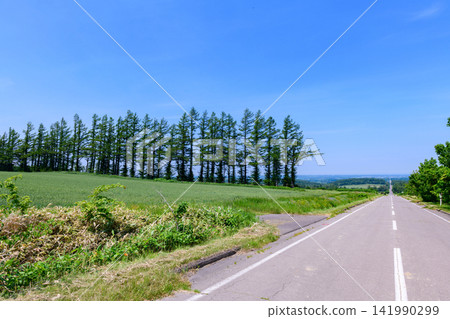 Kiyosato in Eastern Hokkaido: A single road, potato fields, and Mount Shari. Kiyosato in Eastern Hokkaido: A single road, potato fields, and Mount Shari. 141990299