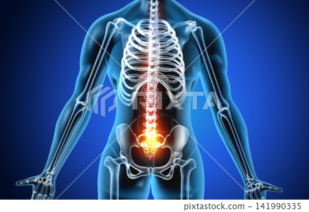 Anatomy of human body with hip pain Anatomy of human body with hip pain 141990335