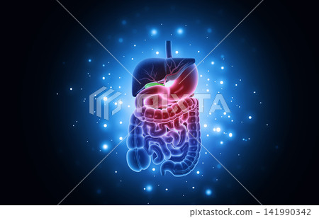 Human digestive system science background Human digestive system science background 141990342