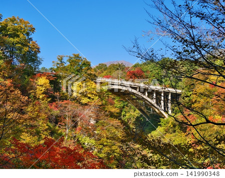 Autumn at Naruko Gorge (Autumn leaves and Ofukazawa Bridge) [Naruko Onsen, Osaki City, Miyagi Prefecture] 141990348