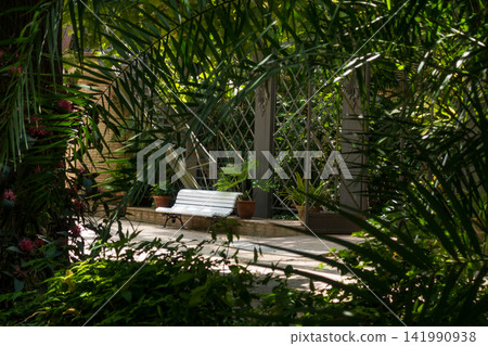 White Park Bench Partially Hidden Behind Dark Palm Leaves White Park Bench Partially Hidden Behind Dark Palm Leaves 141990938