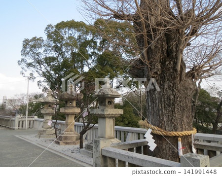 2014, Kagawa, Takamatsu, Scenery, Miyawaki-cho, Shrine, Ishikiyo Hachimangu Shrine, Part Five 2014, Kagawa, Takamatsu, Scenery, Miyawaki-cho, Shrine, Ishikiyo Hachimangu Shrine, Part Five 141991448