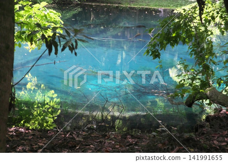 A mystical blue pond nestled in a lush green forest: Maruike Pond in Yuza Town, Yamagata Prefecture A mystical blue pond nestled in a lush green forest: Maruike Pond in Yuza Town, Yamagata Prefecture 141991655