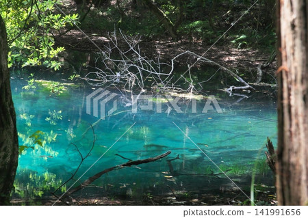 A mystical blue pond nestled in a lush green forest: Maruike Pond in Yuza Town, Yamagata Prefecture A mystical blue pond nestled in a lush green forest: Maruike Pond in Yuza Town, Yamagata Prefecture 141991656