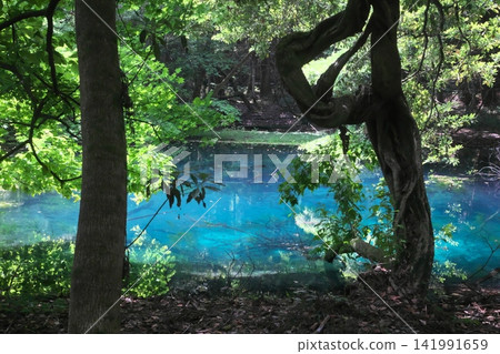 A mystical blue pond nestled in a lush green forest: Maruike Pond in Yuza Town, Yamagata Prefecture A mystical blue pond nestled in a lush green forest: Maruike Pond in Yuza Town, Yamagata Prefecture 141991659
