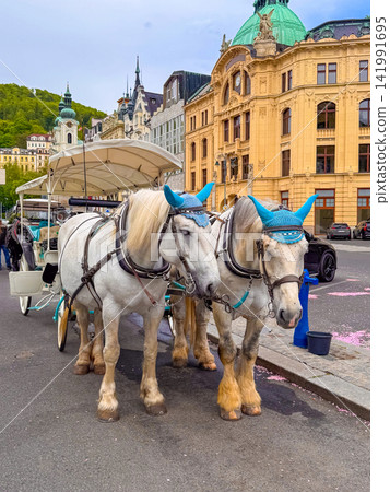 Horse carriage ride in Karlovy Vary, Czech Republic on a clear day Horse carriage ride in Karlovy Vary, Czech Republic on a clear day 141991695