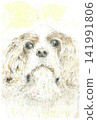 A postcard-sized illustration of a close-up of a Cavalier Kings Charles Spaniel's head. 141991806