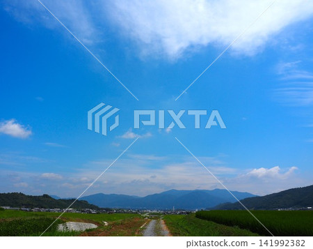 一條道路貫穿整個景觀 141992382