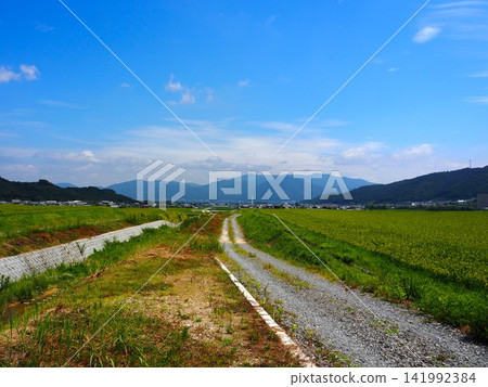 A landscape with a single road A landscape with a single road 141992384