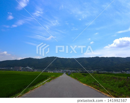 一條道路貫穿整個景觀 一條道路貫穿整個景觀 141992387