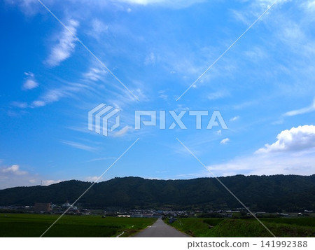 A landscape with a single road A landscape with a single road 141992388