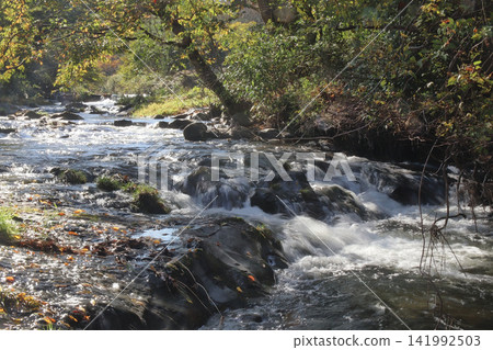 The stream and small drop of the Honzanagawa River (Kawasaki Town, Miyagi Prefecture) The stream and small drop of the Honzanagawa River (Kawasaki Town, Miyagi Prefecture) 141992503