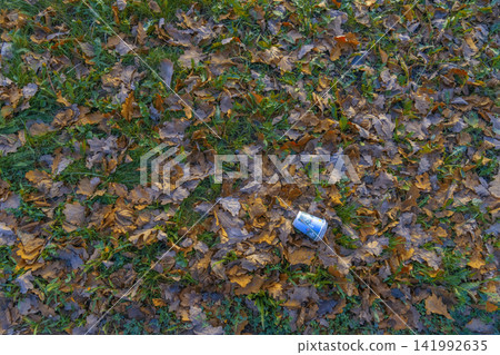 Aluminum can lying on autumn leaves over grass, seen from overhead view with soft daylight Aluminum can lying on autumn leaves over grass, seen from overhead view with soft daylight 141992635