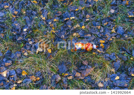 Discarded plastic bottle with colorful lying on grassy ground covered with autumn leaves 141992664