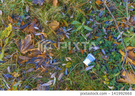 Discarded disposable coffee cup lying among fallen leaves and grass in autumn park Discarded disposable coffee cup lying among fallen leaves and grass in autumn park 141992668