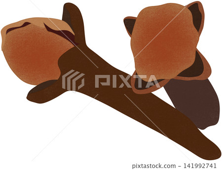 illustration of brown clove illustration of brown clove 141992741