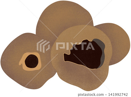 illustration of allspice illustration of allspice 141992742