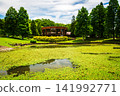 A park with a pond 141992771