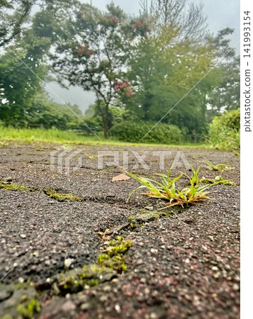 雨天的風景 雨天的風景 141993154