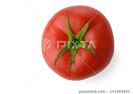 Fresh Whole Red Tomato with Water Droplets Fresh Whole Red Tomato with Water Droplets 141993841