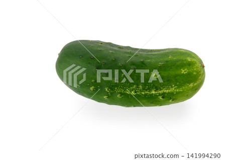 Single Fresh Cucumber Single Fresh Cucumber 141994290