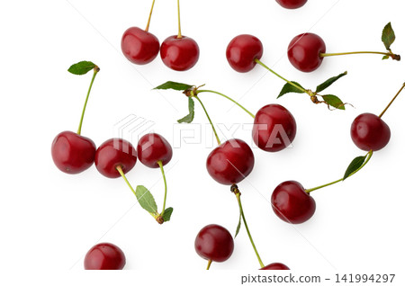 Fresh Red Cherries with Stems and Leaves Fresh Red Cherries with Stems and Leaves 141994297